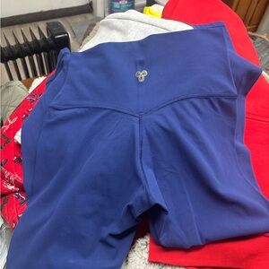 Aritzia Royal Blue Bike Shorts